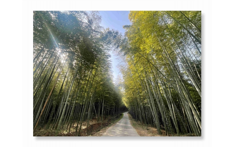开启登山之旅，凝聚团队力量